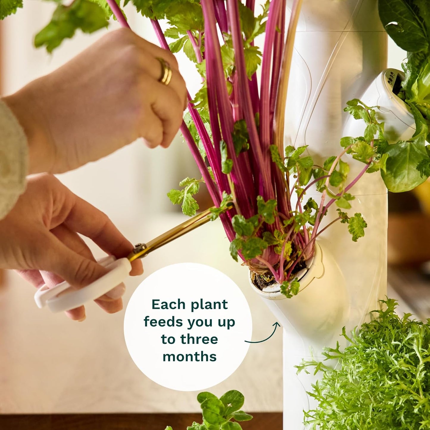 🥦Hydroponics Growing System Kit & Vertical Indoor Garden Planter | Smart Herb Garden | Includes 16 Non-GMO Indoor Plants, Herbs, Vegetables & LED Grow Light for Your Home Gardening System
