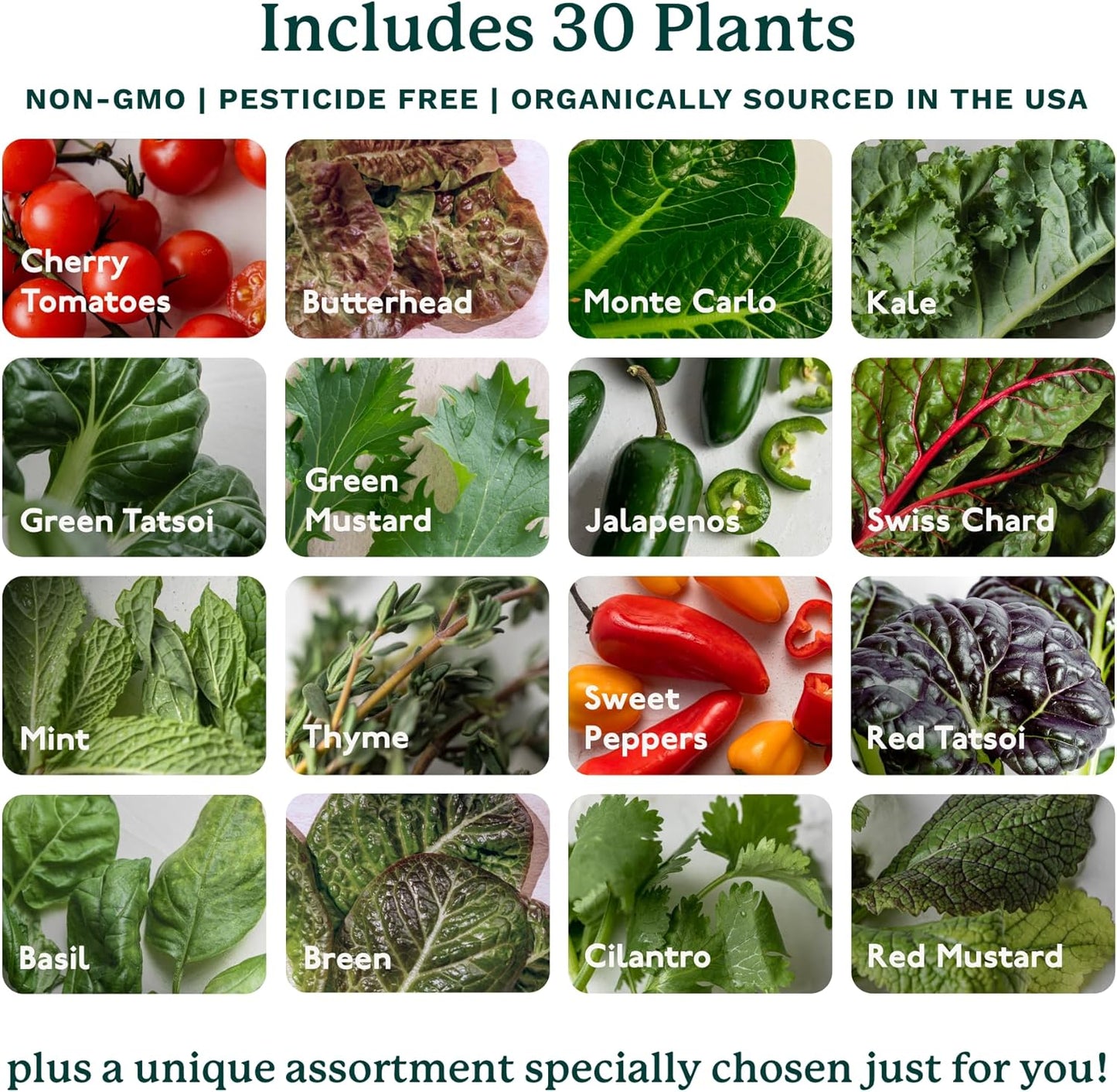 🥦Hydroponics Growing System Kit & Vertical Indoor Garden Planter | Smart Herb Garden | Includes 16 Non-GMO Indoor Plants, Herbs, Vegetables & LED Grow Light for Your Home Gardening System